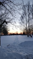 Path in middle of winter