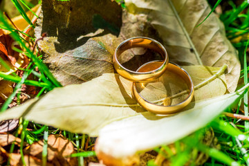 Close up wedding rings