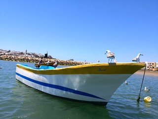 Fototapeta premium cof