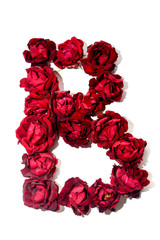 Alphabet from roses