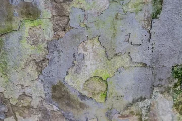 Fotobehang Verweerde muur grunge beton gelaagde textuur