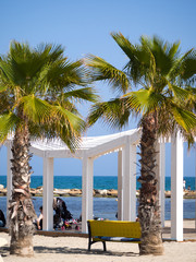 benches in the shade of palm trees to observe the sea on the long beach of Alicante, Spain
