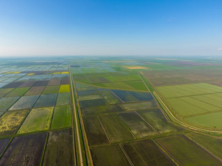 The rice fields are flooded with water. Flooded rice paddies. Agronomic methods of growing rice in the fields.