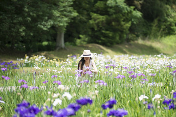 菖蒲を見る女性