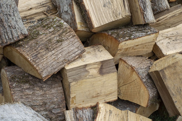 Simple photo background image of dry birch logs