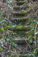 Stone staircase leading up a walkway through the Black Forest