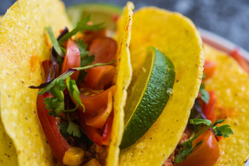 Colorful Mexican Tacos in Shells on Gray Background