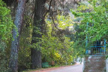 View of the benches and forest in the autumn day