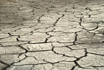 landscape - desert with pattern of different-sized cracks on dry clay..