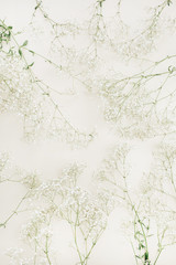 White gypsophila flower bouquet pattern. Flat lay, top view festive background.