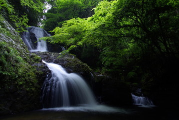 Fototapeta na wymiar 遅越の滝（Waterfall of Osogoe）