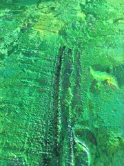 Organic matter background green painting texture.