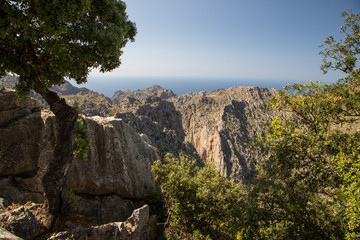 Blick vom Mirador de sa Casa Nova auf die Berge des Tramuntanagebirges