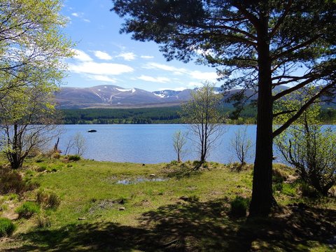A scenic image of Loch Morlich in the Cairngorm National Park, Scotland.