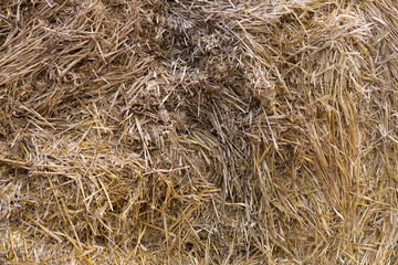 yellow straw texture