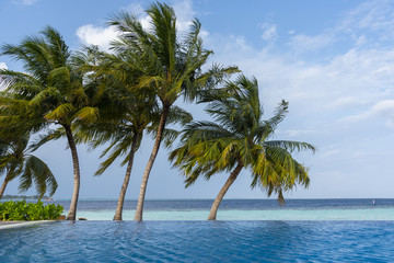 Panoramic view of a wild tropical beach in southern part of Maldives in sunny day.