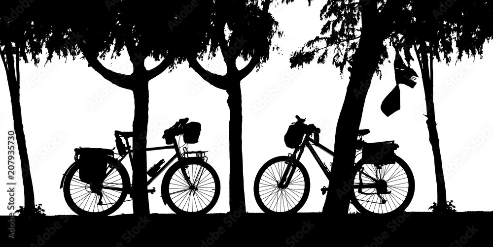 Wall mural silhouette vintage bike in the park on white background.