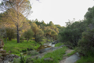 Obraz premium Paisaje al atardecer