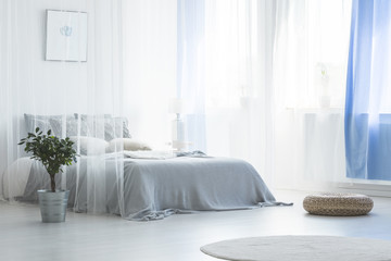Pouf and plant near canopy bed in simple white and blue bedroom interior with rug. Real photo