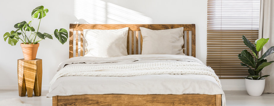 Close-up of double wooden bed with bedding, pillows and blanket against white wall in a bright sunny bedroom interior. Two green plants standing beside. Panorama. Real photo.