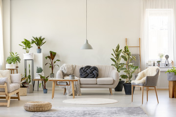 Real photo of a botanic living room interior full of plants with a grey couch standing behind a...