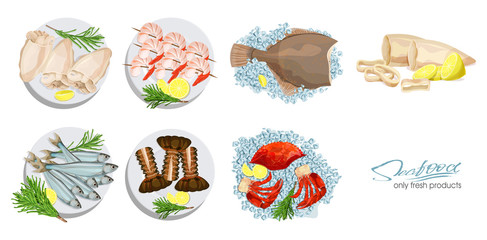 Seafood in cartoon style. Seafood platter set squid, cuttlefish, crab, shrimp, spiny lobster, flounder fish, sprat on ice cubes isolated on white background. Icons. Vector illustration