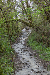 Via Podiensis near Gibraltar when the path became a waterfall