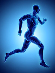 3d illustration male running pose with x-ray skeleton joint, medical concept.