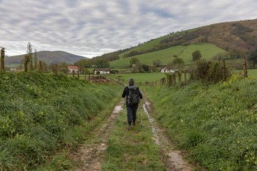 A Lonely Pilgrim walking towards Saint Jean Pied de Port on the Way of Saint James. World Heritage