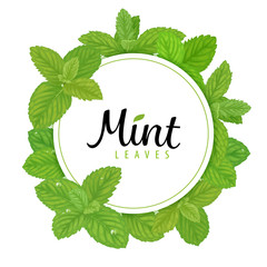 Green mint leaves wreath on white background template. Vector set of plant element for advertising, packaging design of mint tea products.
