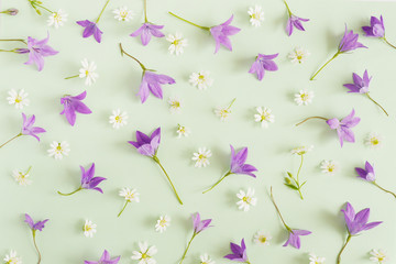 Creative flat layout of wildflowers, composition top view.