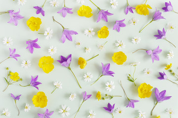 Creative flat layout of wildflowers, composition top view.