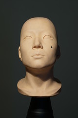 The study of lighting for eight direction by artificial source in photo studio.