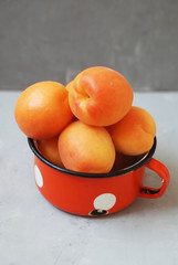 Fresh Apricot isolated on gray background in rustic red metal cup