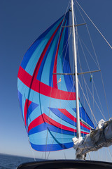 Flying a colorful spinnaker on a seaworthy sailing yacht