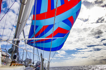 Flying a colorful spinnaker on a seaworthy sailing yacht