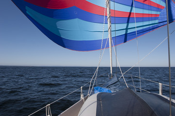 Obraz premium Flying a colorful spinnaker on a seaworthy sailing yacht