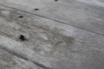 wooden surface