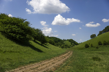 Fototapeta na wymiar Zagajica hills in Serbia