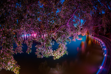 Branches with leaves of green yellow and purple colour above the water of a lake with colorful lights around. Summer night in the park