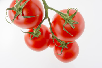 茎に連なるトマト