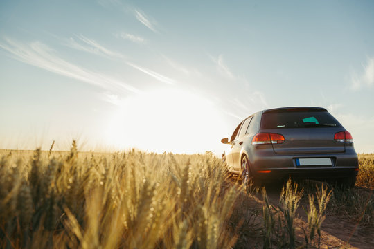 Car in the field in summer sunset