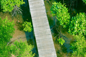 walkway wood bridge in natural mangrove forest environment at Chanthaburi travel Thailand