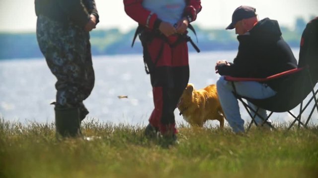 Man sitting on camping chair in front of dog running on the grass outdoors