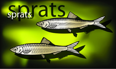 Naklejka premium Sprat