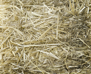 Straw bale field