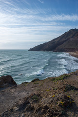 The cape of a cat a sunny day in almeria