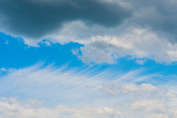 Obraz premium clouds in the sky