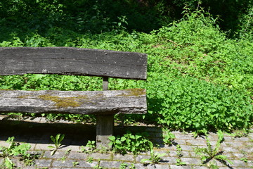 Rastplatz mit Holzbank und Moos