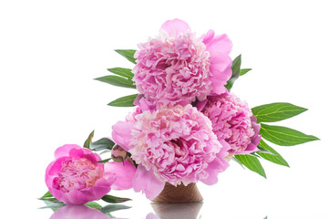 bouquet of blooming peonies